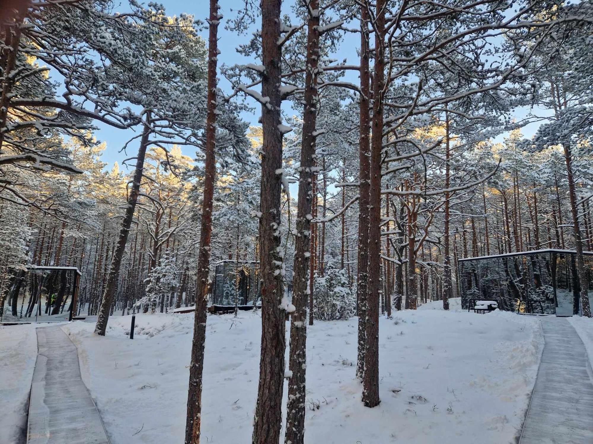 Oeoed Hoetels Lohusalu Leida & Enno Laulasmaa Buitenkant foto